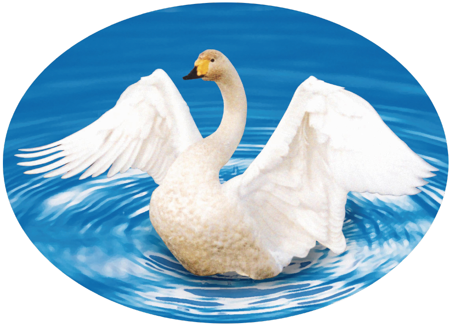 酒田スワンタクシー